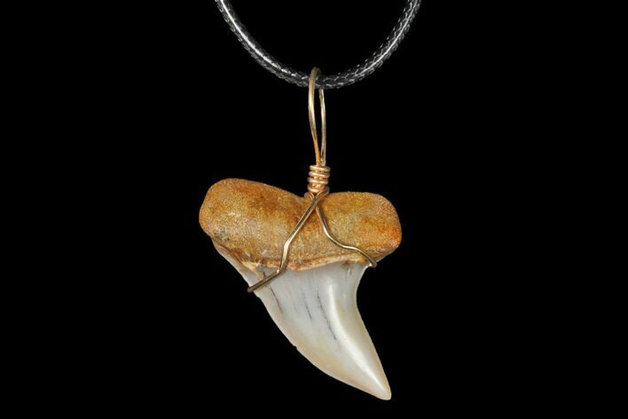 Fossil Mako Tooth Necklace - Bakersfield, California #130883
